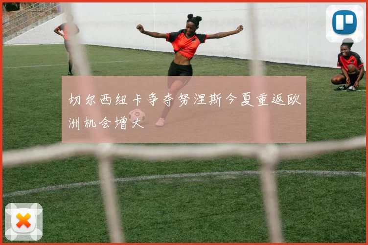 切尔西纽卡争夺努涅斯今夏重返欧洲机会增大